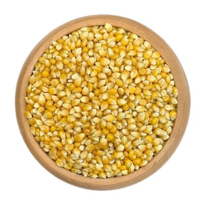 ذرت درجه یک